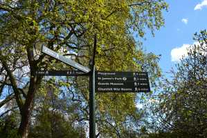 ST-JAMES-PARK (3)